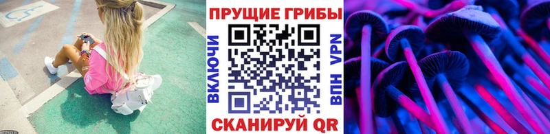 omg вход  где найти   Новое Девяткино  Галлюциногенные грибы MAGIC MUSHROOMS 